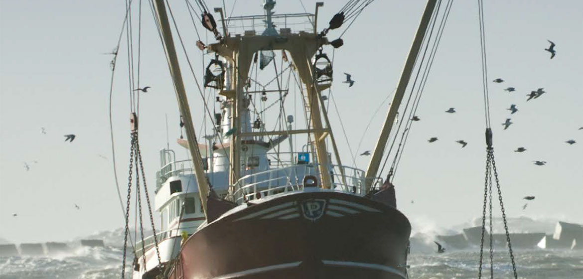 DruSea Wędkarstwo i Marine | Specjalne liny stalowe